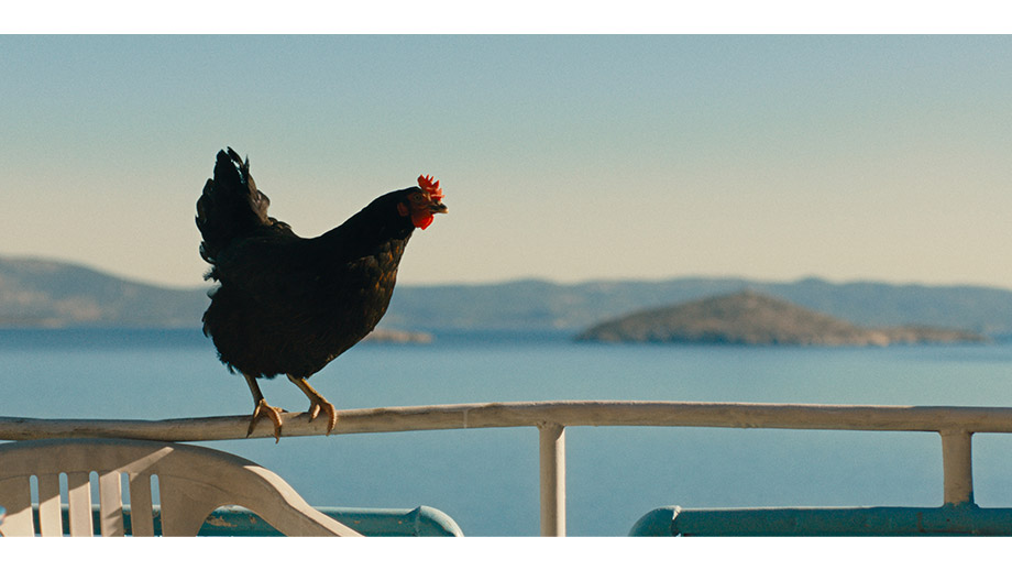 雌鶏】 | 第38回東京国際映画祭