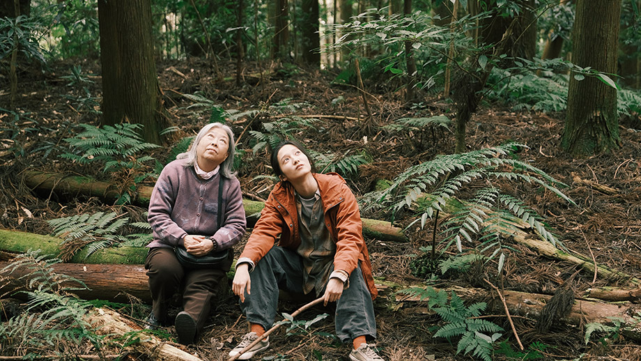 木々の隙間】 | 第38回東京国際映画祭
