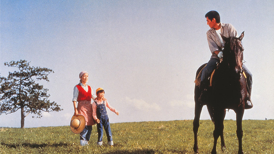 1980年山田洋次監督映画『遙かなる山の呼び声』　スチール製　高倉健　320 Amazon.co.jp: 遙かなる山の呼び声 [DVD] : ハナ肇, 高倉健, 武田鉄矢